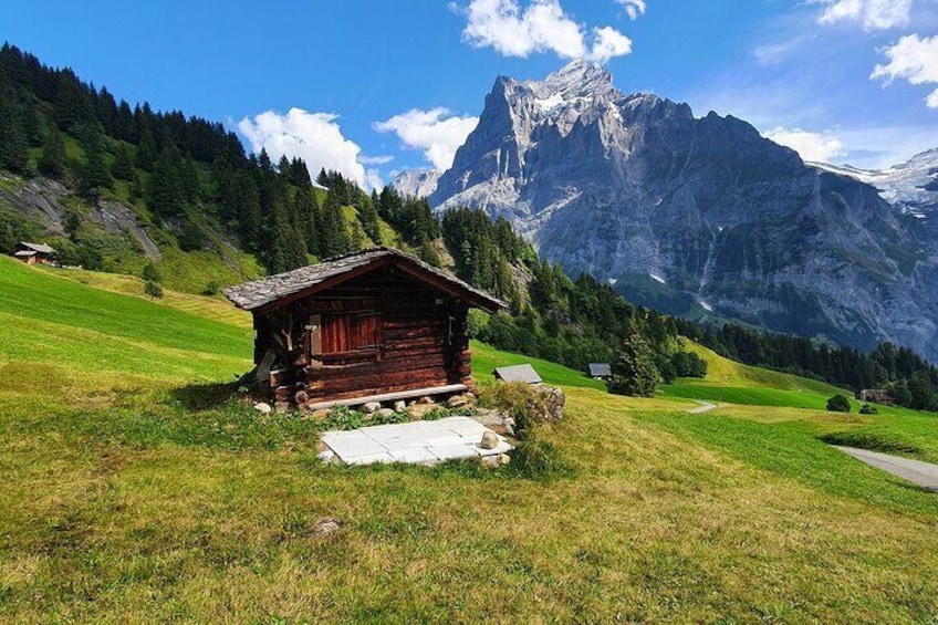 Grindelwald First Ticket incl. Cliff Walk from Interlaken