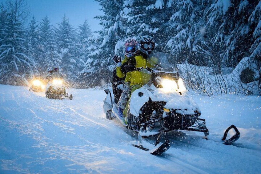 From Zakopane Snowmobile Ride with Bonfire and Transfer