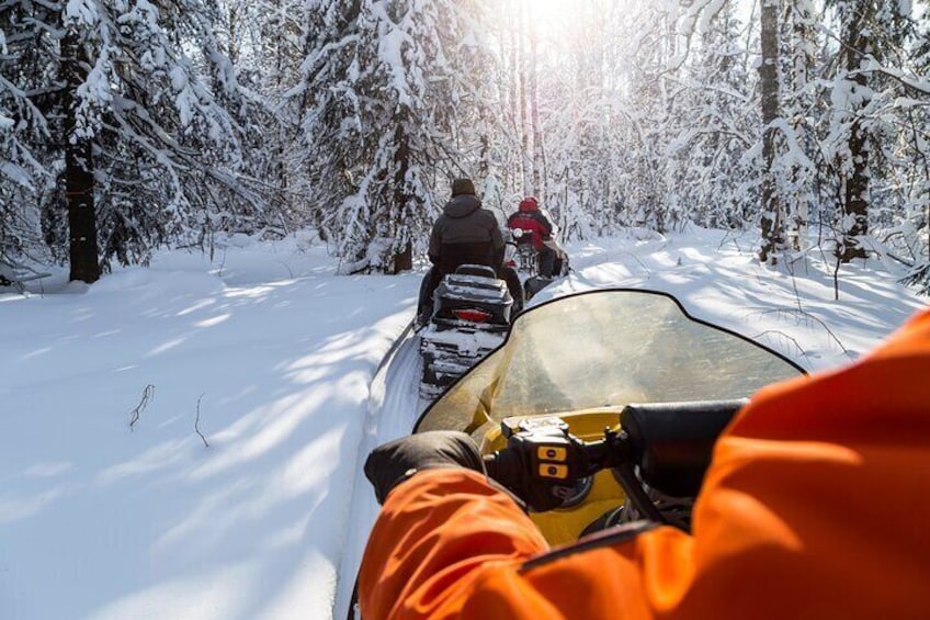 From Zakopane Snowmobile Ride with Bonfire and Transfer