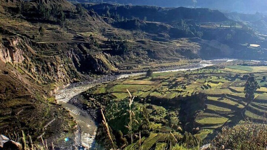 Arequipa: Colca Canyon Full Day - Ending in Arequipa