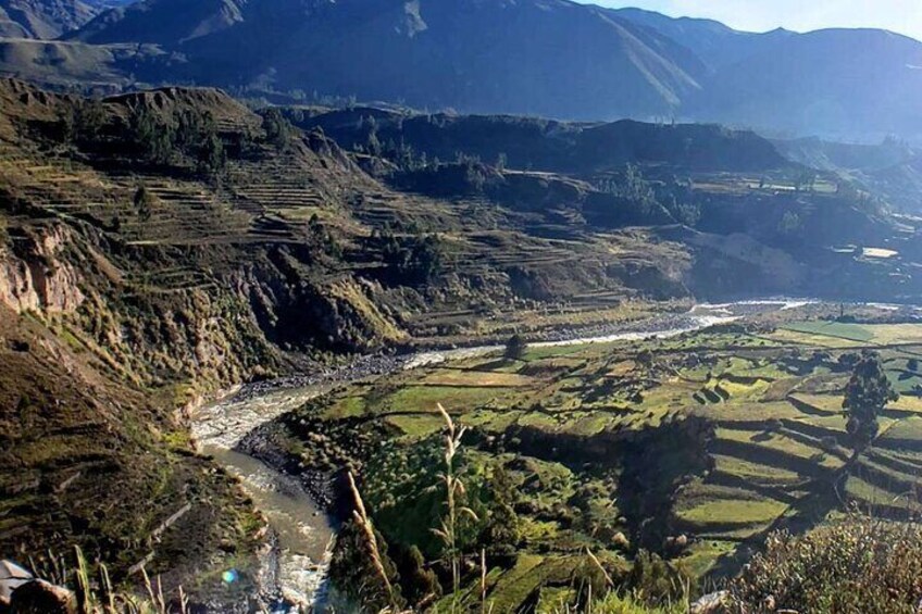 Colca Canyon Full Day Canon del Colca Tour From Arequipa