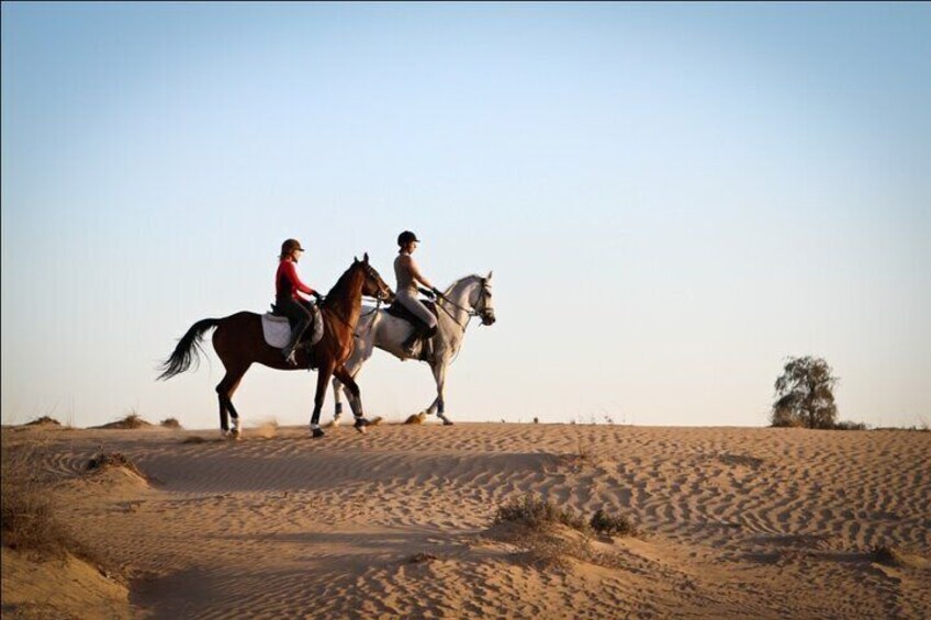 Dubai Dune Bashing, Camel & Horse Riding, Belly Dancing with Food