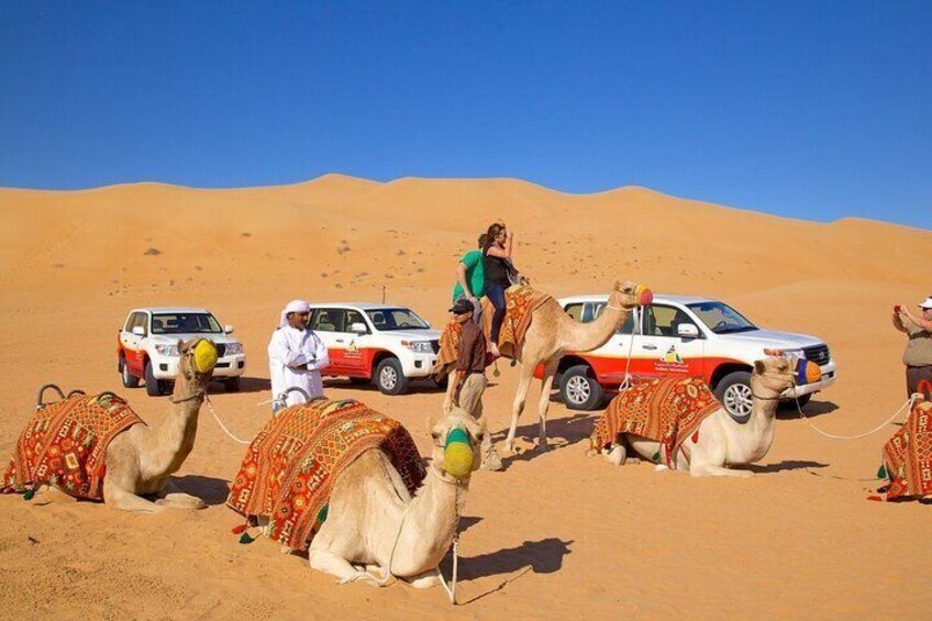 Dubai Dune Bashing, Camel & Horse Riding, Belly Dancing with Food