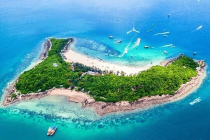 Pattaya: Coral Island Speedboat Tour with Indian Lunch & Transfer