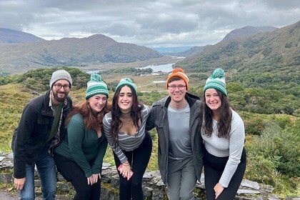 Killarney National Park Torc Waterfall & Ladies View Private Tour