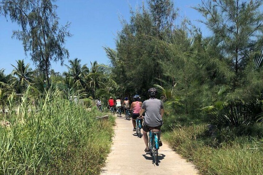 Sometimes water buffaloes will share the bike trail