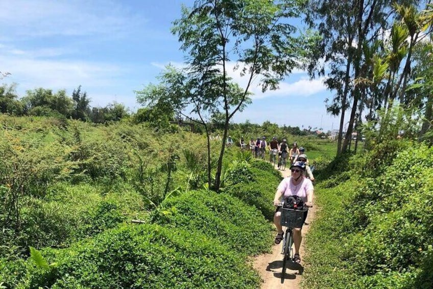 Cycling through bush trail