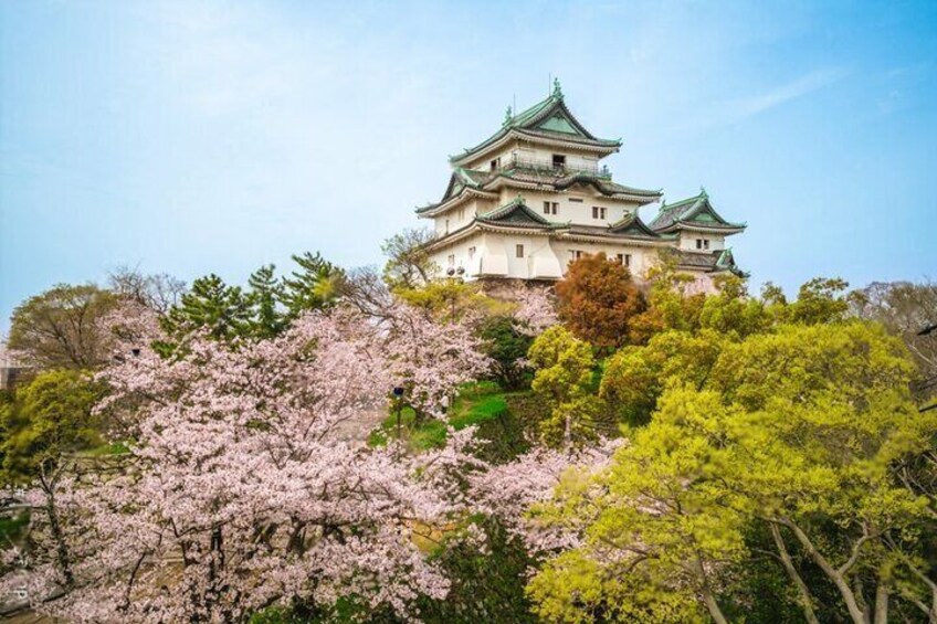 Mount Koya, Wakayama and Nachi Waterfall Tour