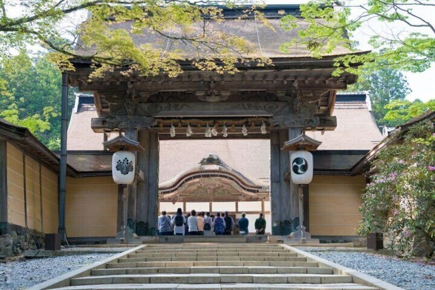 Mount Koya, Wakayama and Nachi Waterfall Tour