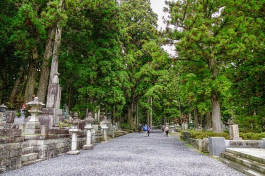 Mount Koya, Wakayama and Nachi Waterfall Tour