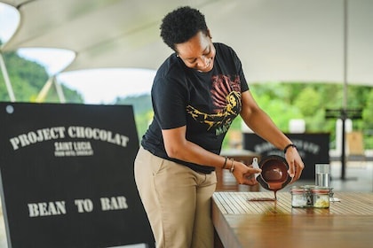 Hotel Chocolat: Rundtur från träd till bar med provsmakning i St. Lucia