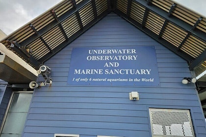 Busselton Jetty and Underwater Observatory