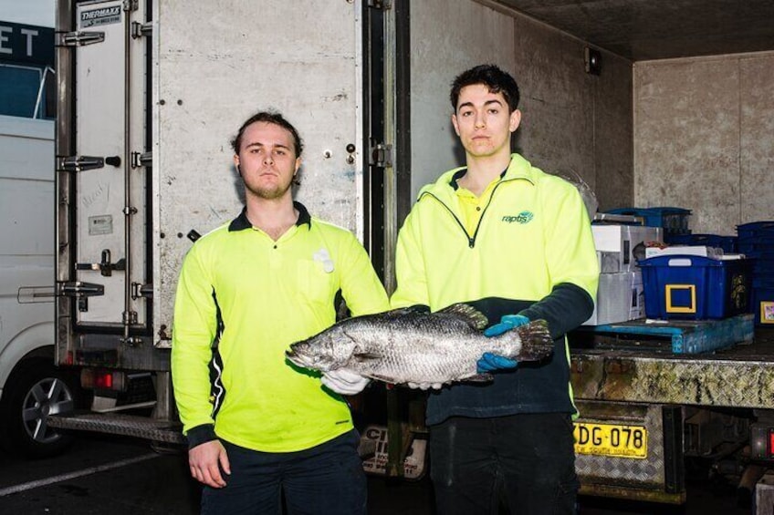 Morning Walking Tour in Sydney Fish Market