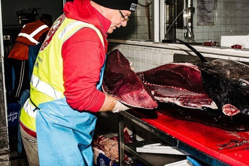 Morning Walking Tour in Sydney Fish Market