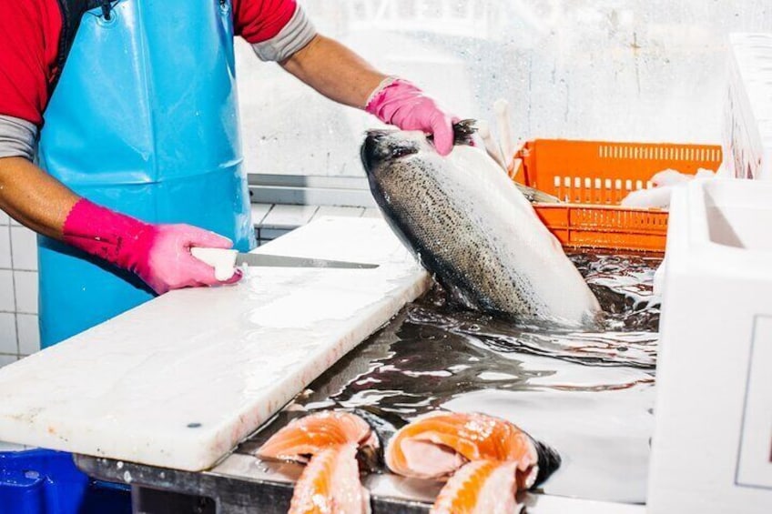 Morning Walking Tour in Sydney Fish Market