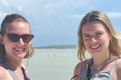 Birdwatching around Merida and coastline