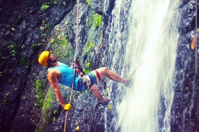 Pura Vida Rappel Zipline Safari with Lunch