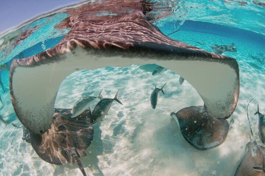 Gentle and friendly southern rays!