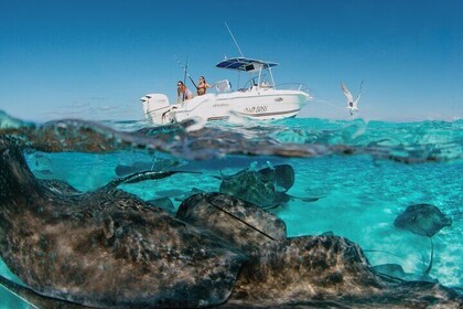 Private Boat Charter Snorkeling Stingray City or Bio Bay