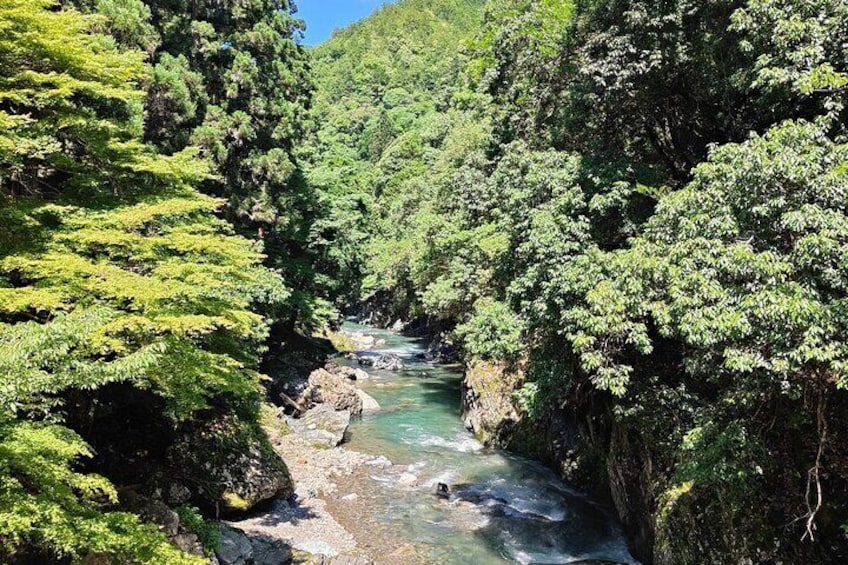 Hiking Kyoto's Highest Mountain: Unravel the Mystery of Mt. Atago