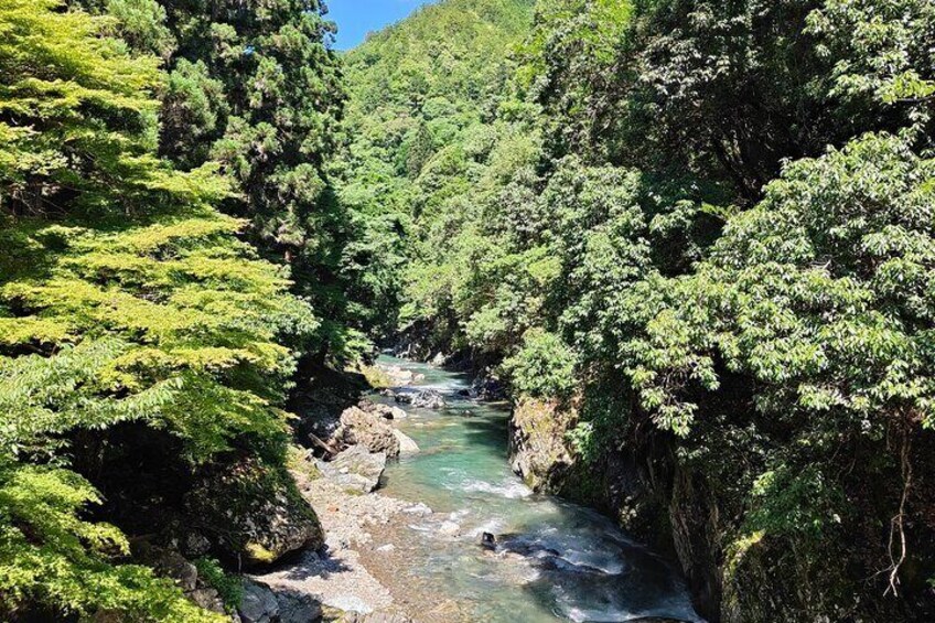 Hiking Kyoto's Highest Mountain: Unravel the Mystery of Mt. Atago
