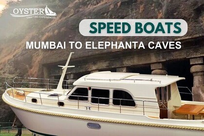 Elephanta Island Private Speedboat Tour from Mumbai