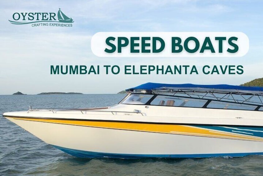 Elephanta Island Private Speedboat Tour from Mumbai