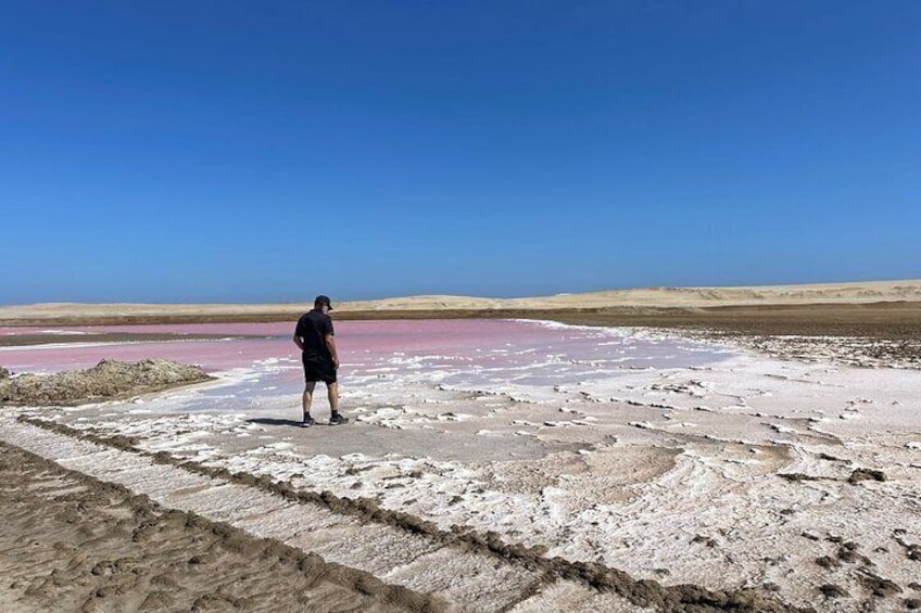 Trekking in the Paracas National Reserve with Pink Lagoon