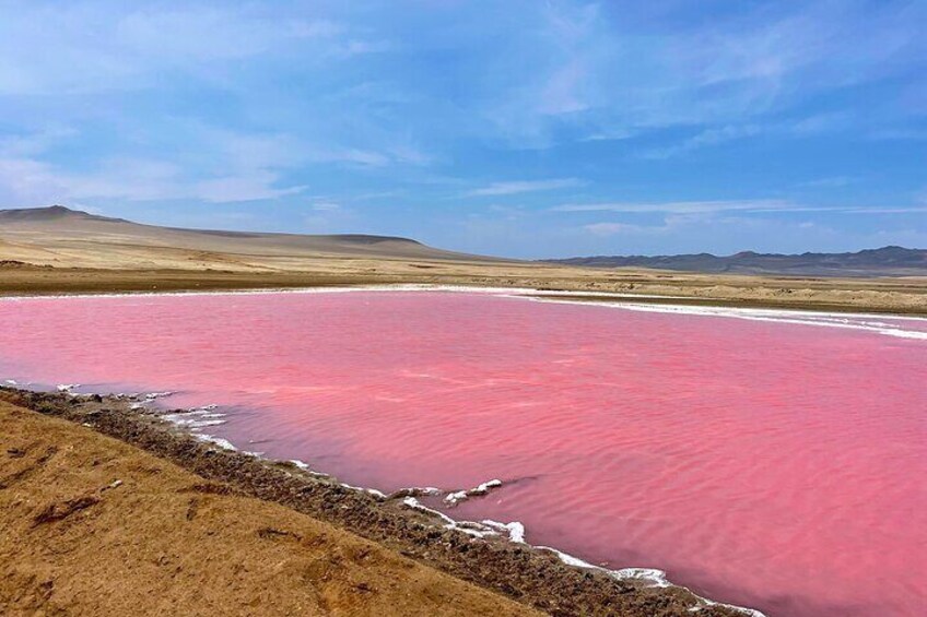 Trekking in the Paracas National Reserve with Pink Lagoon