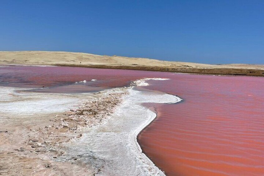 Trekking in the Paracas National Reserve with Pink Lagoon