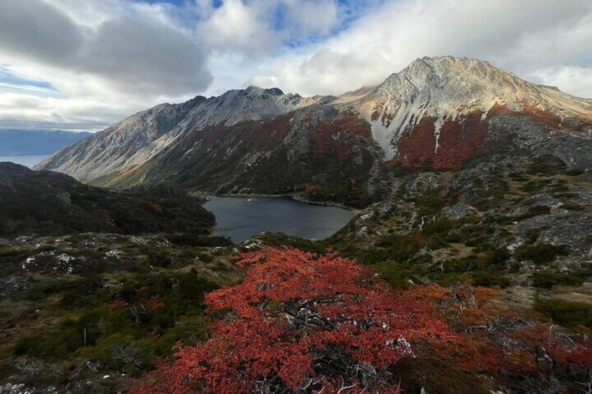 Private Expedition Tierra del Fuego Paso Valdivieso 4 days