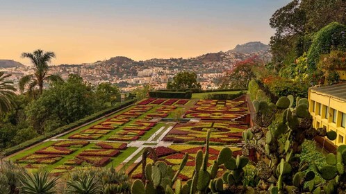 Funchal: Tuk Tuk Tour met gids en botanische tuinen