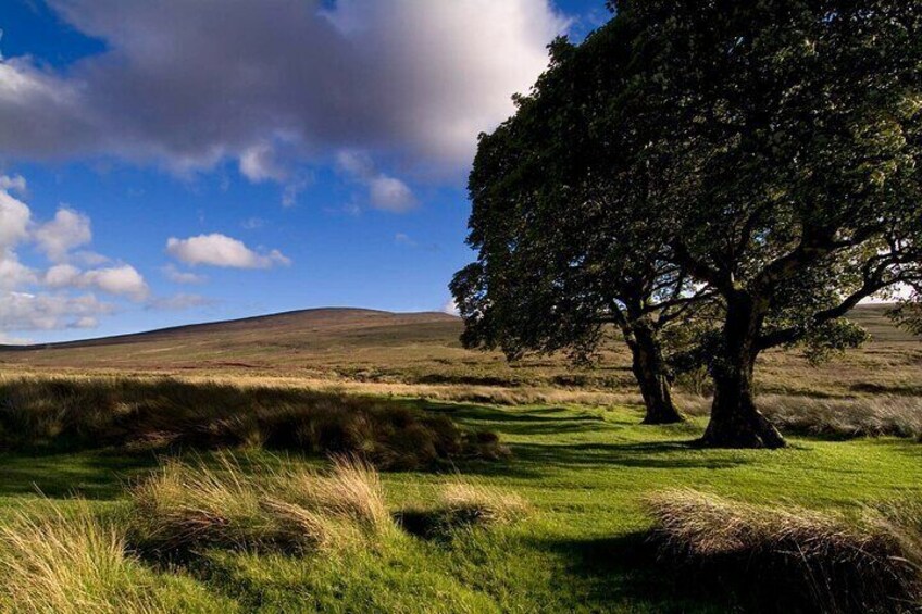 Wicklow Mountains