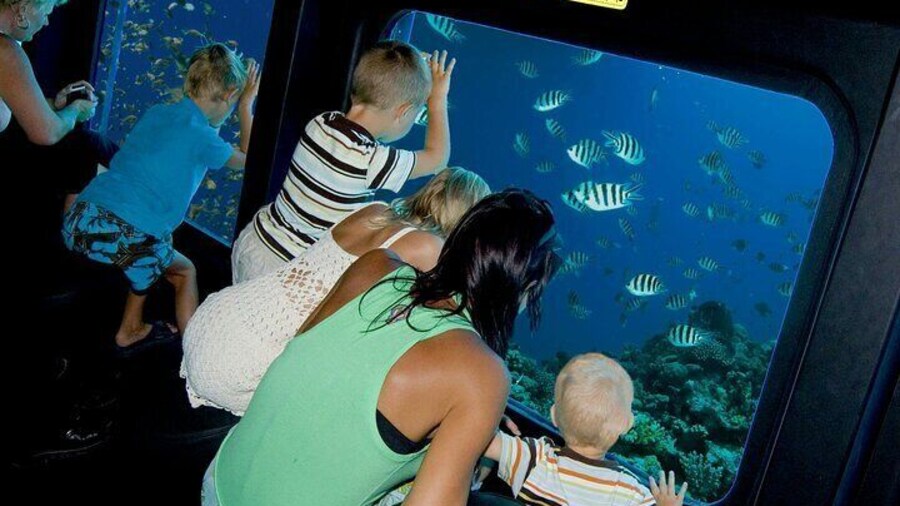 Sharm El Sheikh Submarine Ride with Transfer