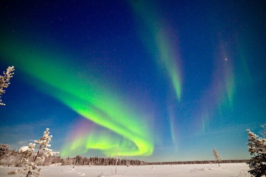 Levi: Private Northern Lights Hunt 4x4 SUV with guaranteed Aurora