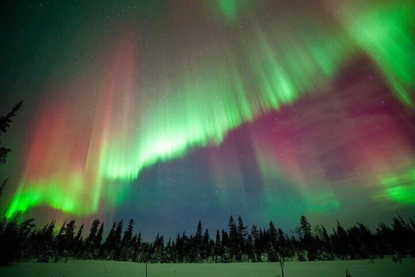 Levi: Private Northern Lights Hunt 4x4 SUV with guaranteed Aurora