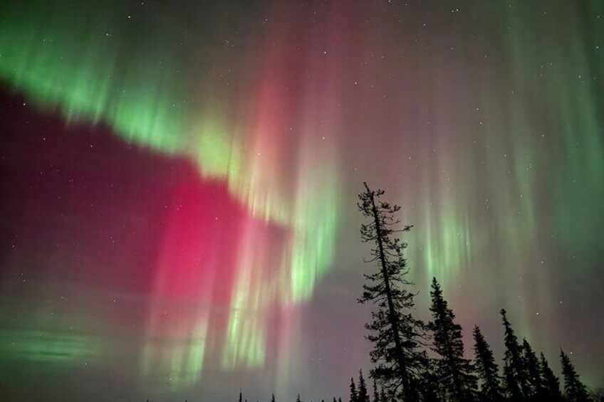 Levi: Private Northern Lights Hunt 4x4 SUV with guaranteed Aurora