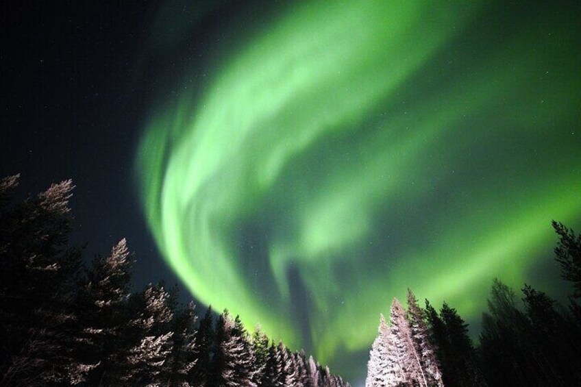 Northern Lights above Lapland