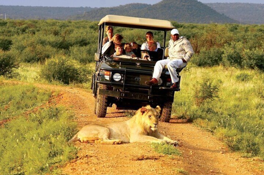 Full day KwaZulu Hluhluwe Imfolozi & ISimangaliso Wetland Tour
