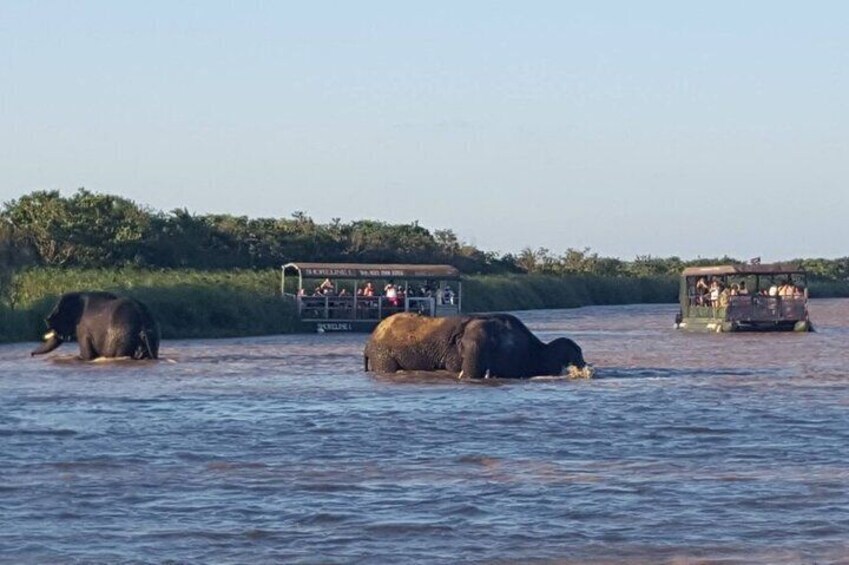 Full day KwaZulu Hluhluwe Imfolozi & ISimangaliso Wetland Tour
