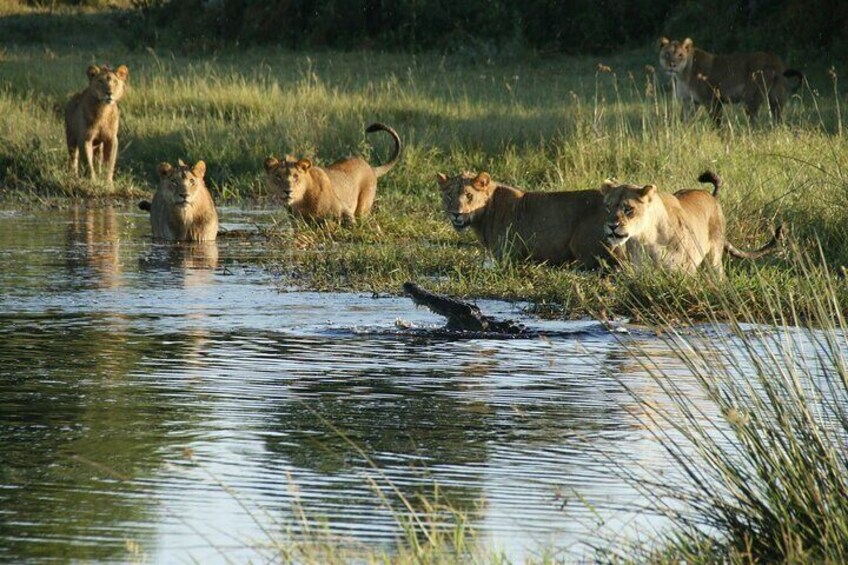 Full Day Okavango Mokoro Tour