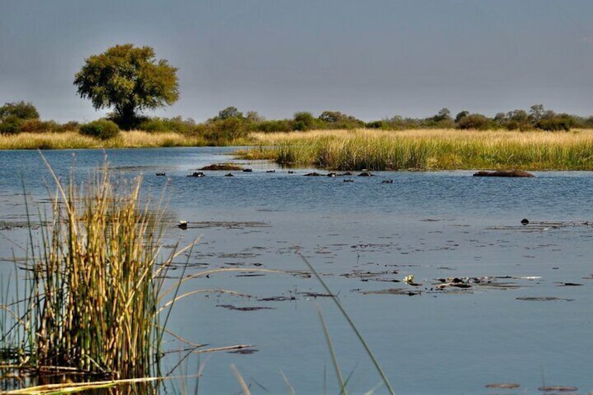 Full Day Okavango Mokoro Tour