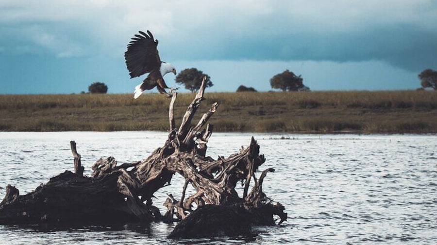 Full Day Okavango Mokoro Tour