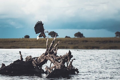 Full Day Okavango Mokoro Tour