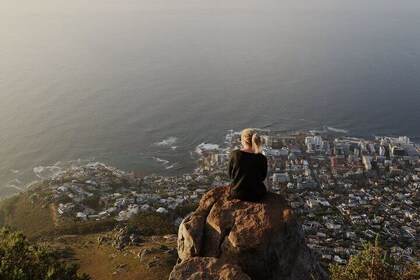 Cape Peninsula Full Day Tour