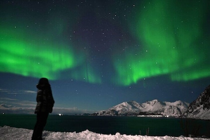 AURORA Northern Lights 8 HOURS Relaxed Moments (5 people)+photos