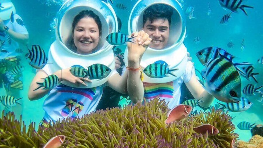 Nha Trang 3 Islands Paradise Explore