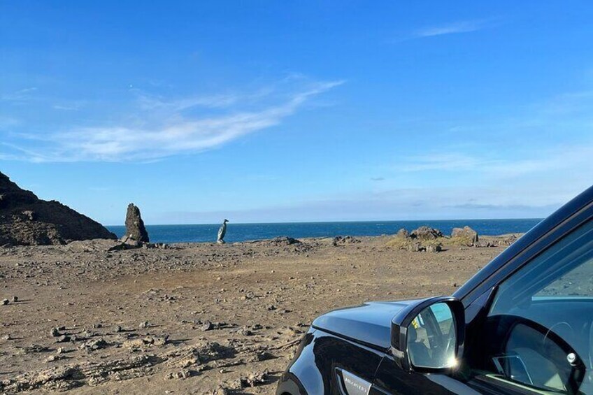 Reykjanes Peninsula Private Tour