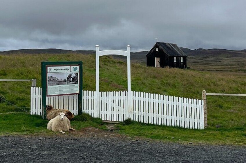 Reykjanes Peninsula Private Tour