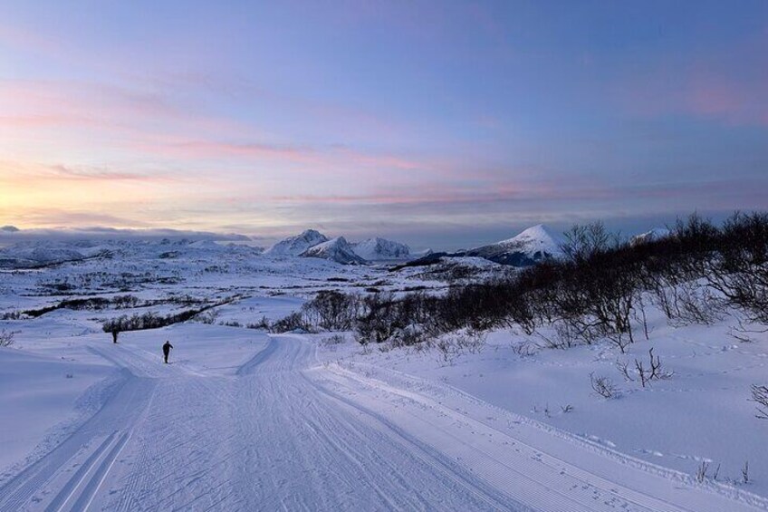 3 Hour Private Snowshoe Hike in Lofoten